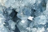 Sparkling Celestine (Celestite) Geode Section - Madagascar #364648-1